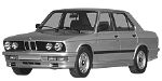 BMW E28 P0A4D Fault Code